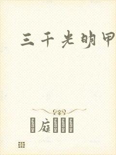 三千光明甲