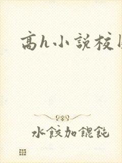 高h小说校园