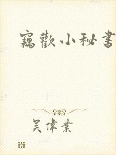 窃欢小秘书