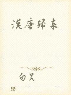 汉唐归来