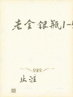 老金银瓶1-5封面