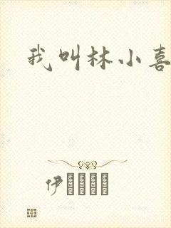 我叫林小喜17
