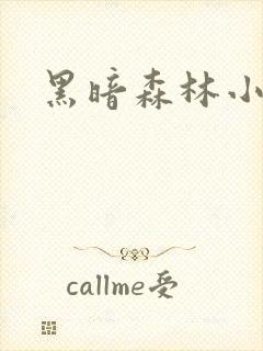 黑暗森林小说