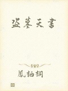 盗墓天书