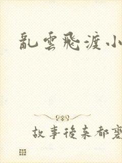 乱云飞渡小说