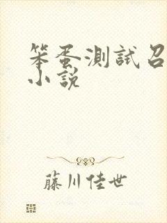 笨蛋测试召唤兽小说