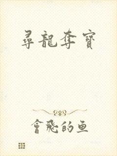 寻龙夺宝