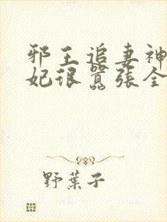 邪王追妻神医狂妃很嚣张全文免费