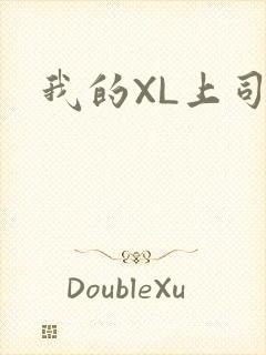 我的XL上司封面