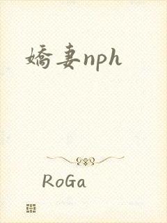 娇妻nph