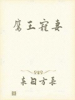 鹰王宠妻