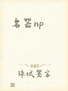 名器np