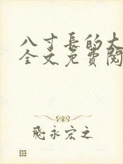 八寸长的大宝贝全文免费阅读封面