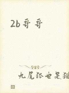 2b哥哥
