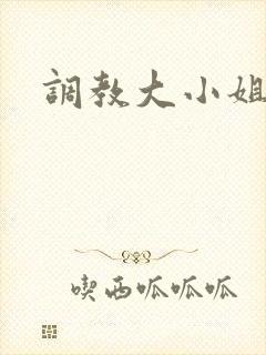 调教大小姐封面
