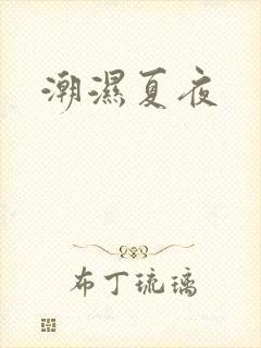 潮湿夏夜封面