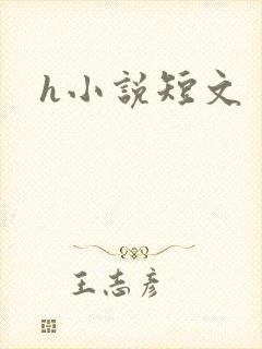 h小说短文封面
