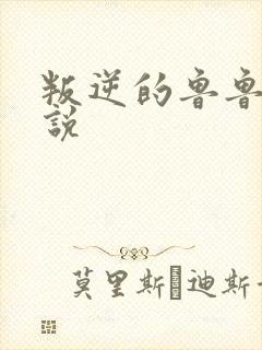 叛逆的鲁鲁修小说封面