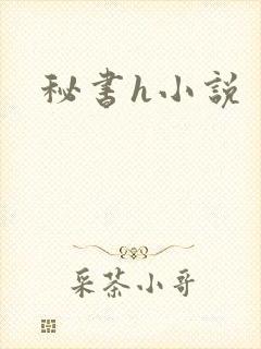 秘书h小说封面