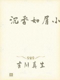 沉香如屑小说
