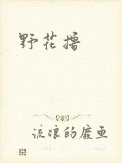 野花撸