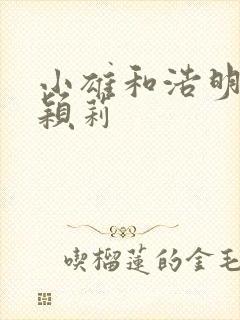 小雄和浩明夹击颖莉