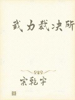 武力裁决所