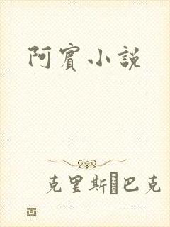 阿宾小说