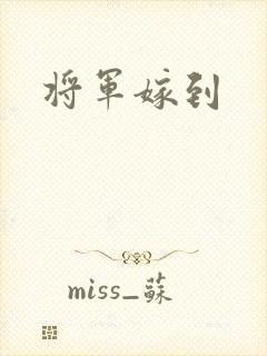 将军嫁到