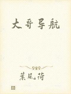 大哥导航