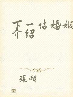 下一站婚姻剧情介绍