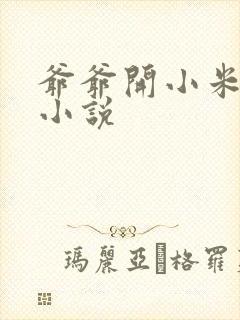 爷爷开小米的包小说