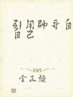引用帅哥自己玩自己封面