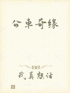 公车奇缘