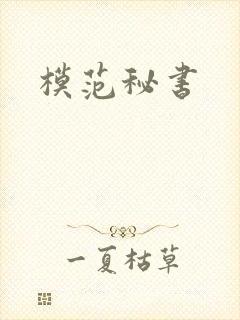 模范秘书封面