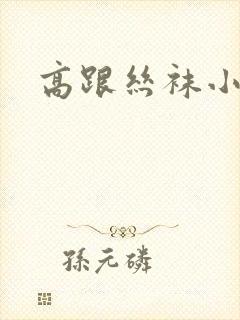 高跟丝袜小说