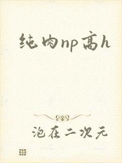 纯肉np高h