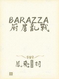 BARAZZA厨房乱战封面