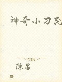 神奇小刁民