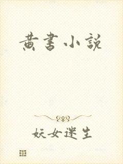 黄书小说