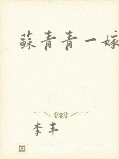 苏青青一嫁三夫封面