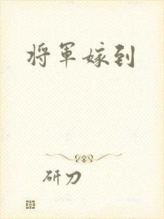 将军嫁到