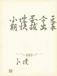 小坏蛋今天危险期快拔出来