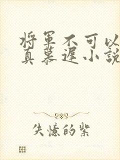 将军不可以魏云真慕迟小说笔趣阁