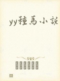 yy种马小说封面
