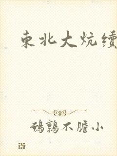 东北大炕续