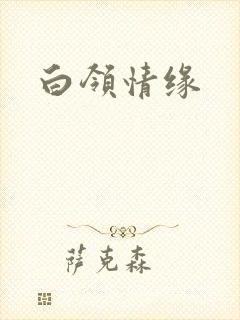 白领情缘