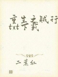 重生之贼行天下txt下载