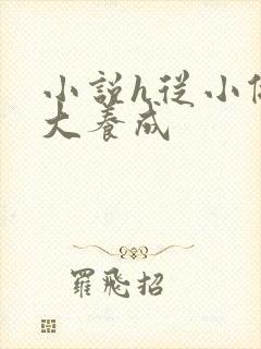 小说h从小做到大养成