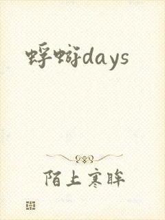 蜉蝣days封面